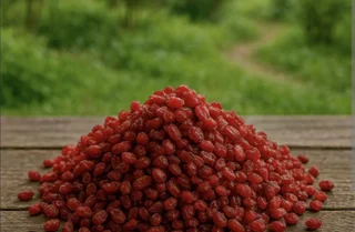 زرشک پفکی درجه یک